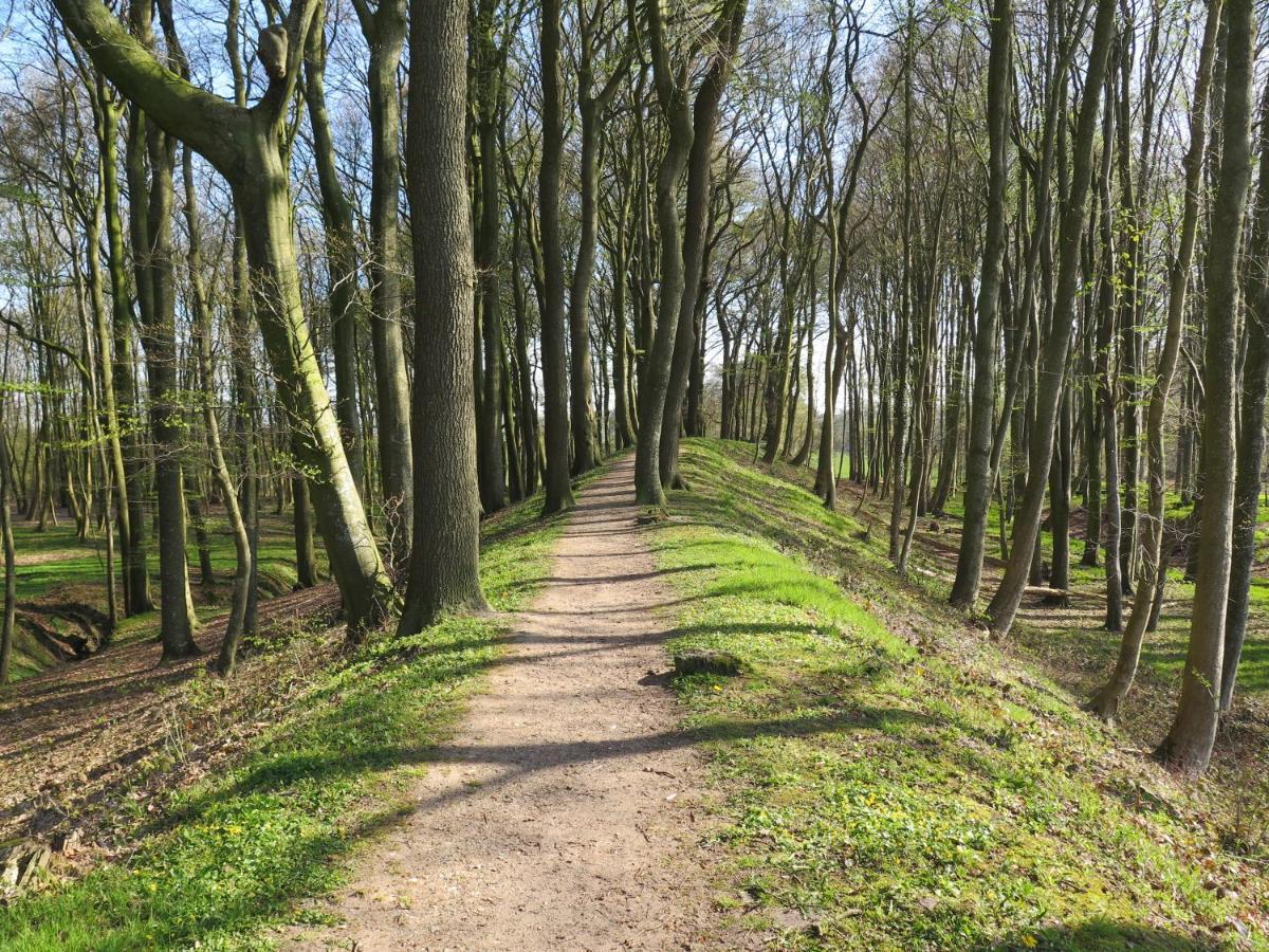 Ferienwohnungen Am Danewerk Dannewerk Exteriér fotografie